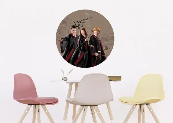 Vliesová fototapeta na zed' Harry Potter Kouzelné Trio | 70 x 70 cm | CRD 5805