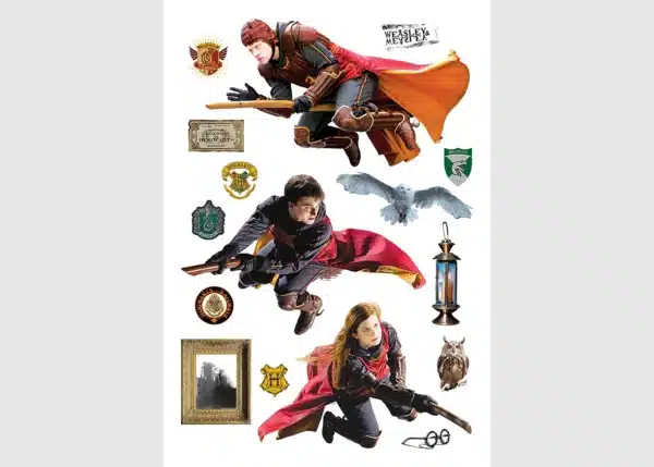 Dětská samolepka na zeď Harry Potter | 42.5 x 65 cm | DK 1645
