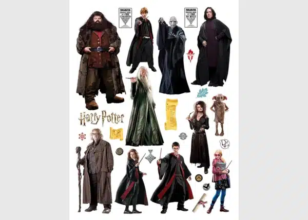 Dětská samolepka na zeď Harry Potter | 65 x 85 cm | DK 2335