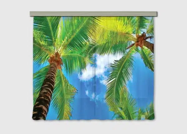 Curtain Palm, 180 x 160 cm, FCSXL4802