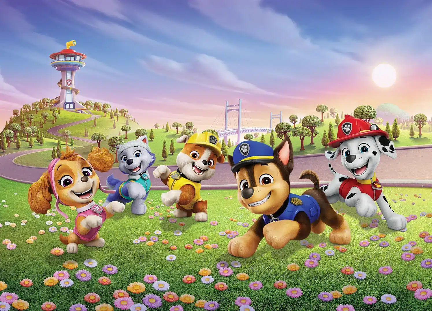 Custom Size Wall Mural Paw Patrol Pups on the Flower Field | Premium Non-Woven Wallpaper | FTD5P352283