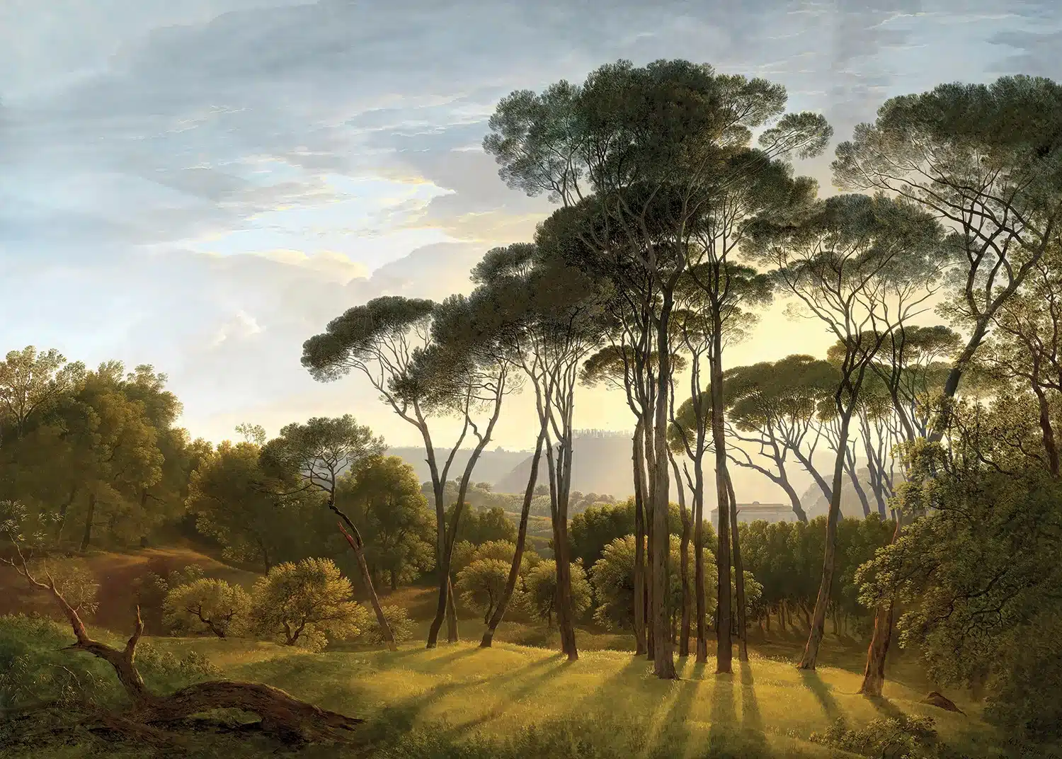Custom Size Wall Mural Savannah View | Premium Non-Woven Wallpaper | FT5P352383