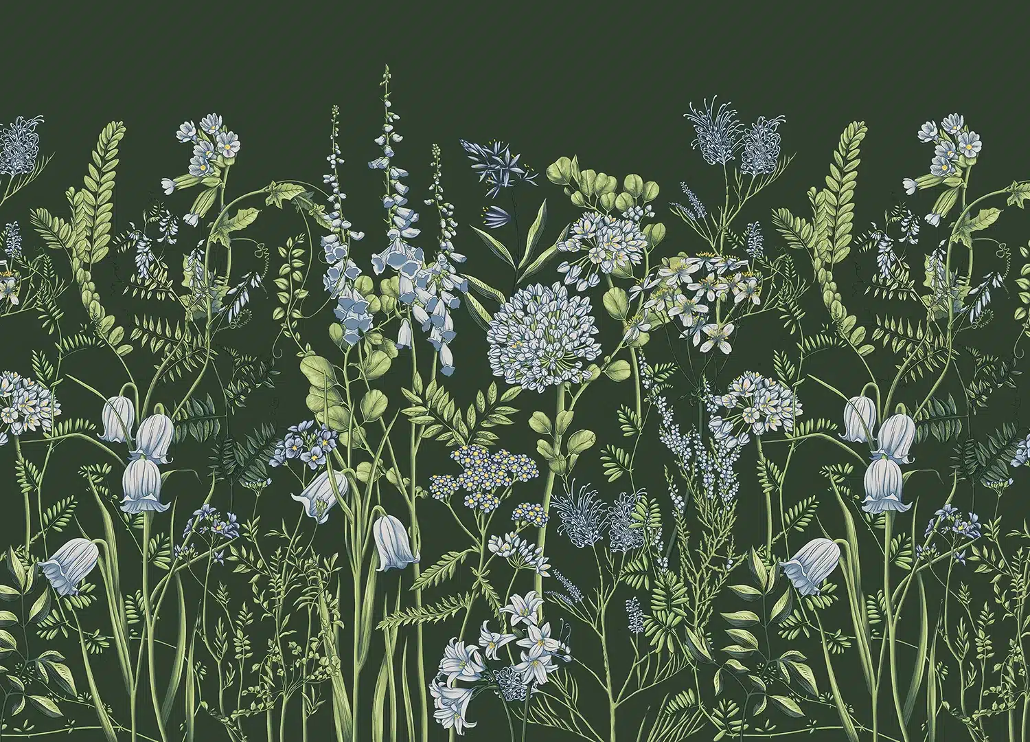 Custom Size Wall Mural Vetch Flowers on Olive Green | Premium Non-Woven Wallpaper | FT5P352403