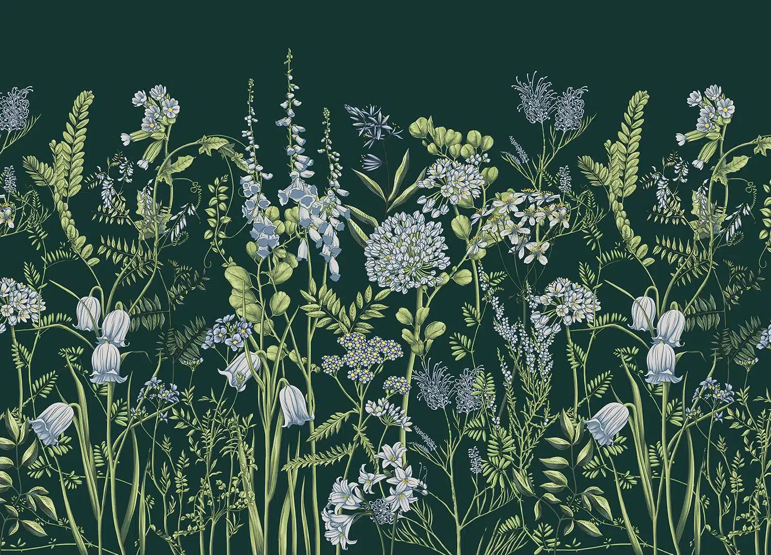 Custom Size Wall Mural Vetch Flowers on BrunswicKGreen | Premium Non-Woven Wallpaper | FT5P352405