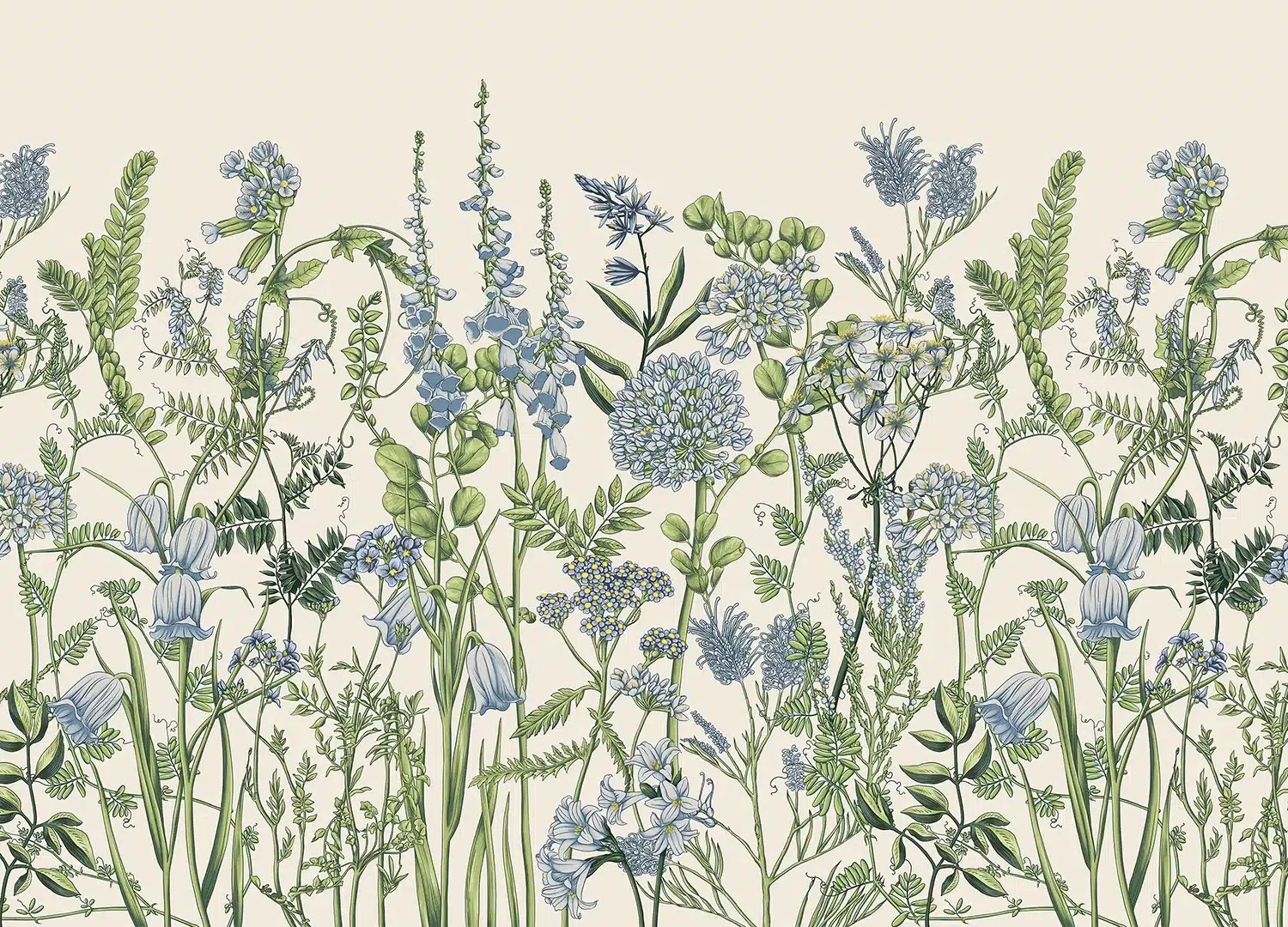Custom Size Wall Mural Vetch Flowers on Beige | Premium Non-Woven Wallpaper | FT5P352411