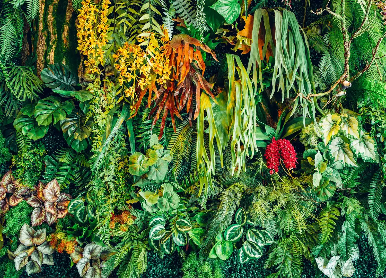 Custom Size Wall Mural Jungle Wall | Premium Non-Woven Wallpaper | FT5P352417
