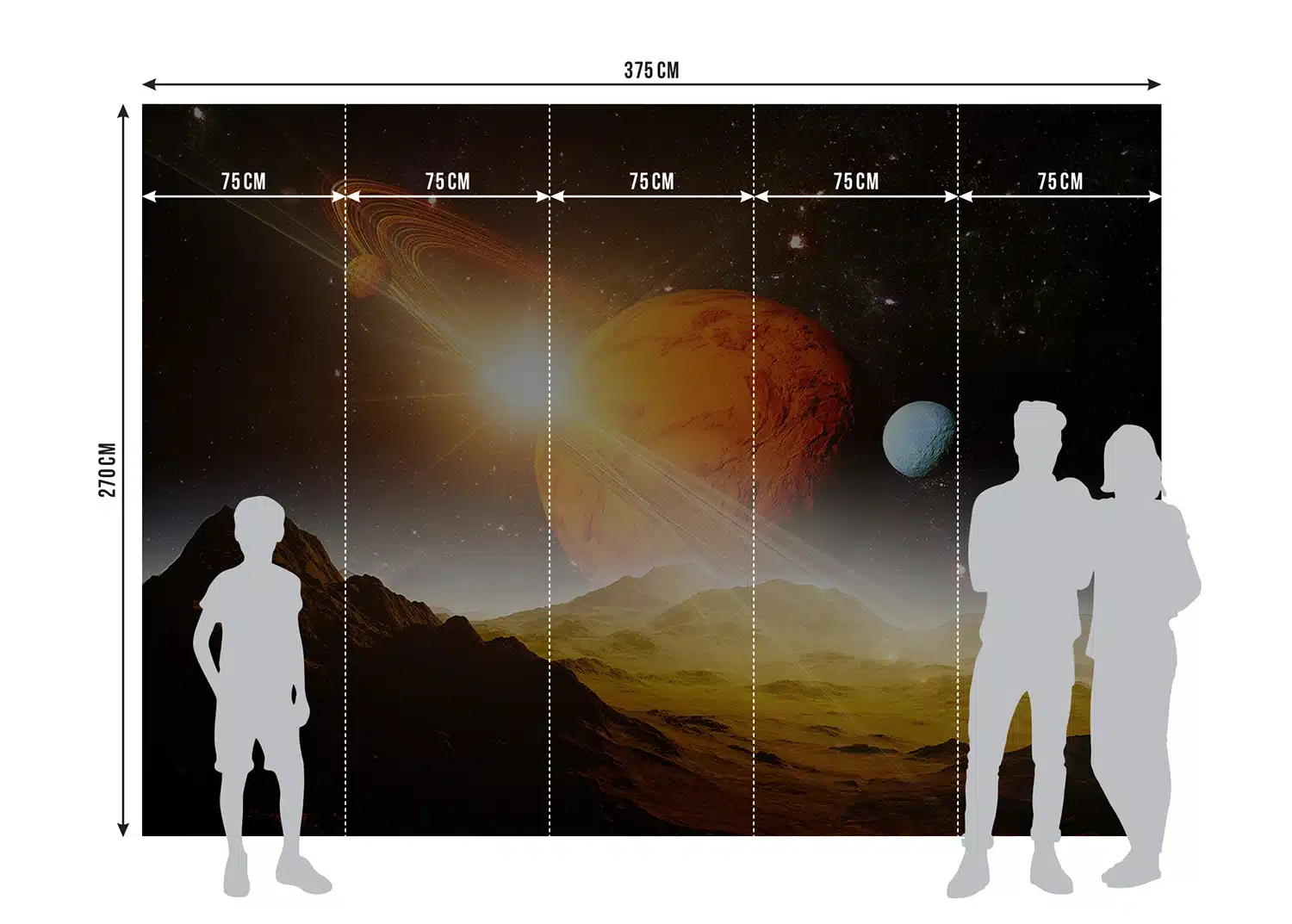 Custom Size Wall Mural Saturn Dream | Premium Non-Woven Wallpaper | FTNS1283 7