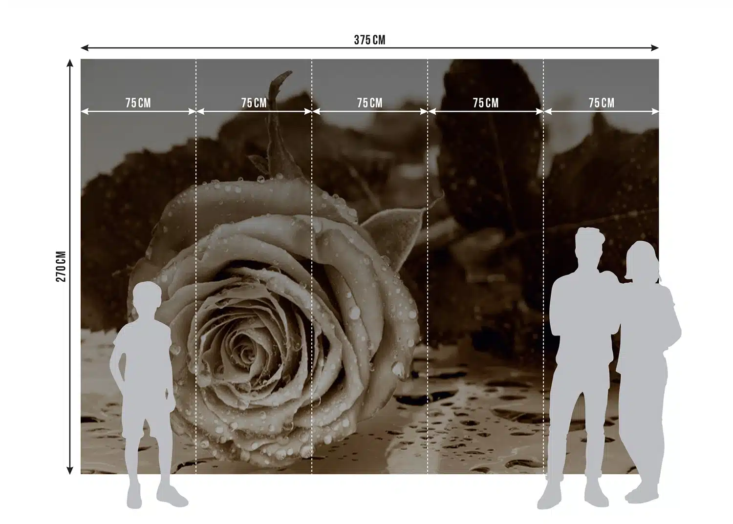 Custom Size Wall Mural Vintage Rose | Premium Non-Woven Wallpaper | FTNS2458 6