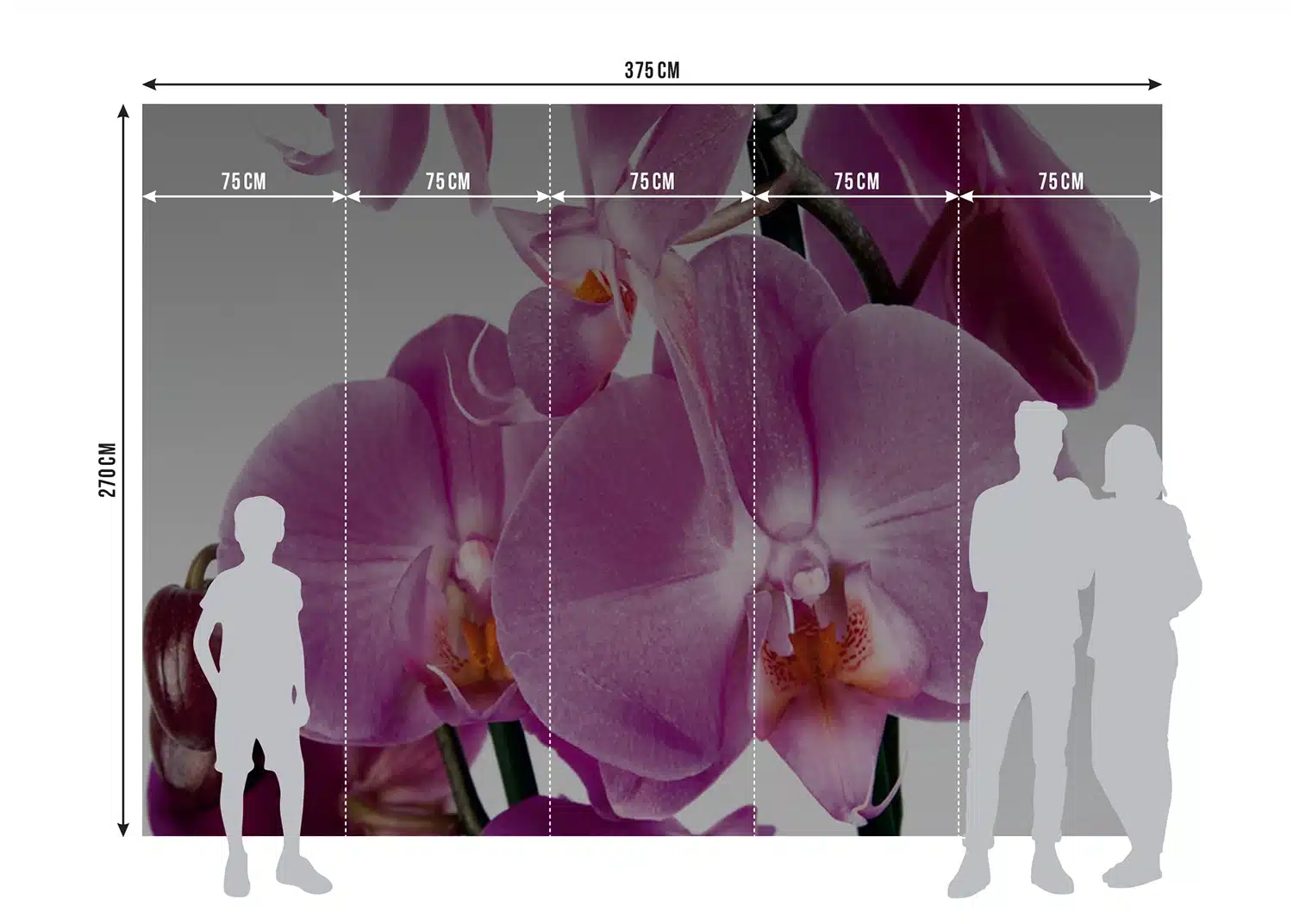 Custom Size Wall Mural Violet Orchid | Premium Non-Woven Wallpaper | FTNS2459 4