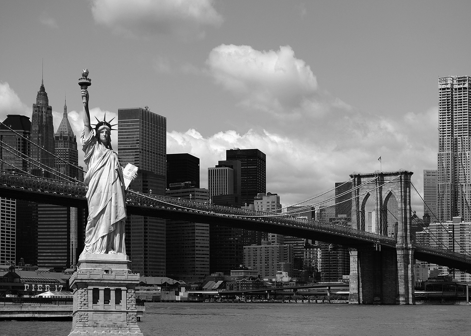 Custom Size Wall Mural Liberty | Premium Non-Woven Wallpaper | FTNS2475