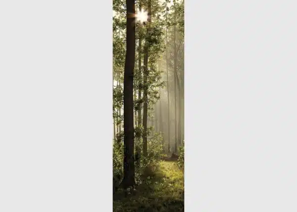 Vliesová fototapeta na zed' Prosluněný Les | 90 x 270 cm | FTNVL 3712