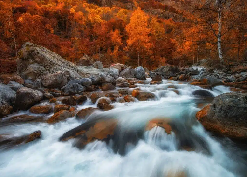 Custom Size Wall Mural Autumn Rush | Premium Non-Woven Wallpaper | FTNXXL3012 1