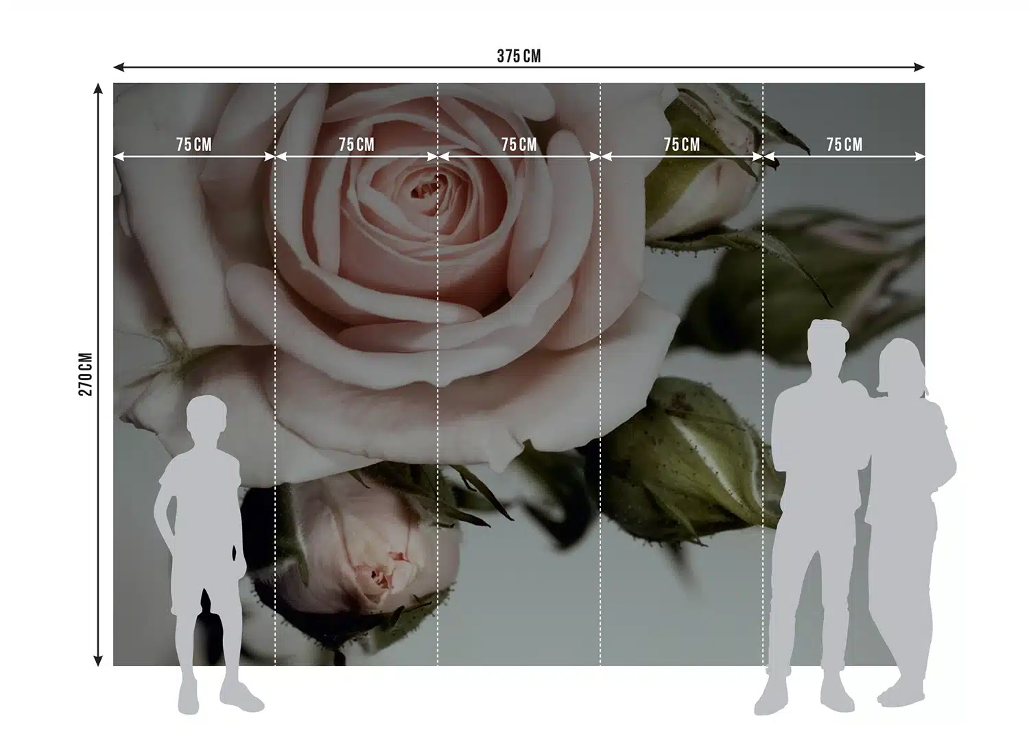 Custom Size Wall Mural Rose | Premium Non-Woven Wallpaper | FTNXXL0313 8