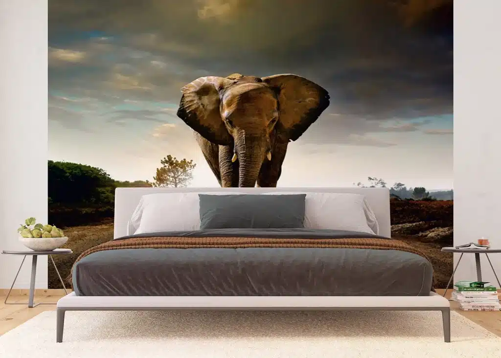 Custom Size Wall Mural Elephant | Premium Non-Woven Wallpaper | FTNXXL0438 2