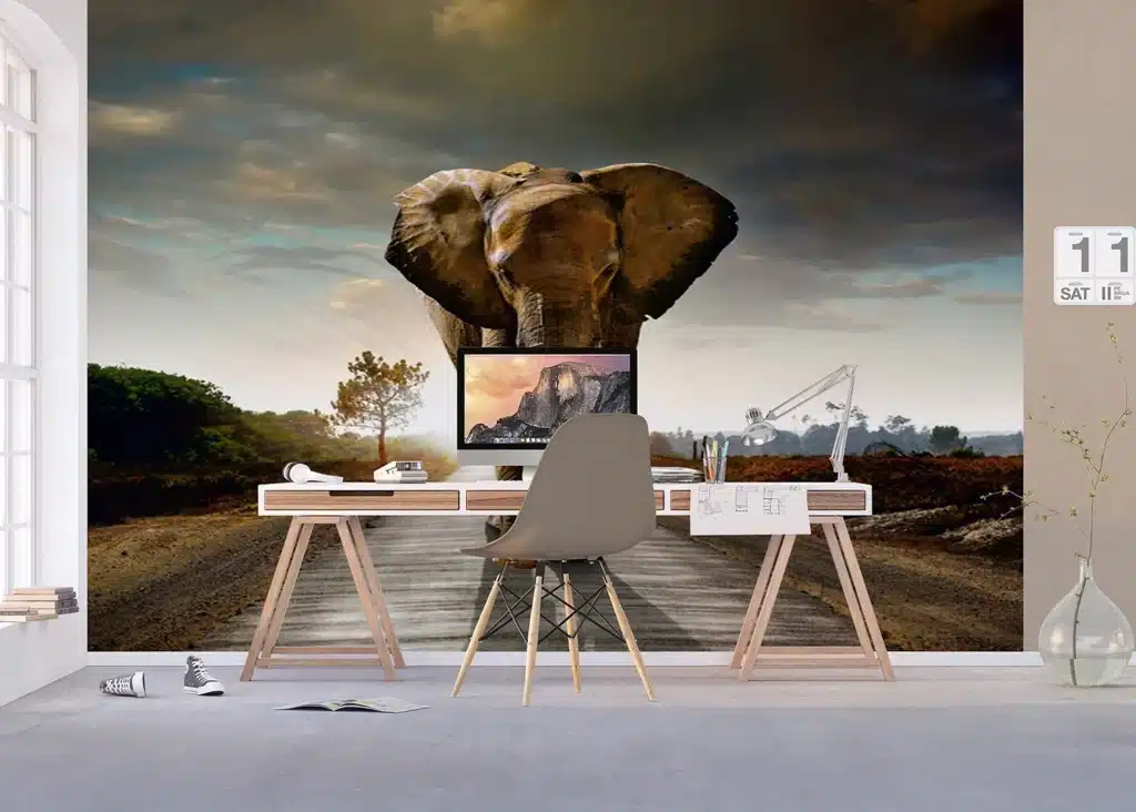 Custom Size Wall Mural Elephant | Premium Non-Woven Wallpaper | FTNXXL0438 7