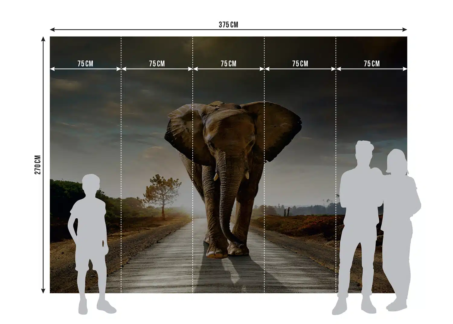 Custom Size Wall Mural Elephant | Premium Non-Woven Wallpaper | FTNXXL0438 8