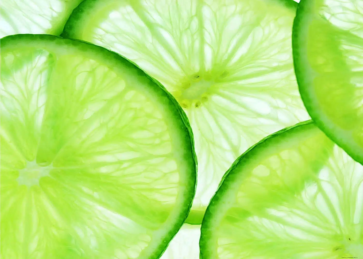 Custom Size Wall Mural Lime | Premium Non-Woven Wallpaper | FTNXXL0440
