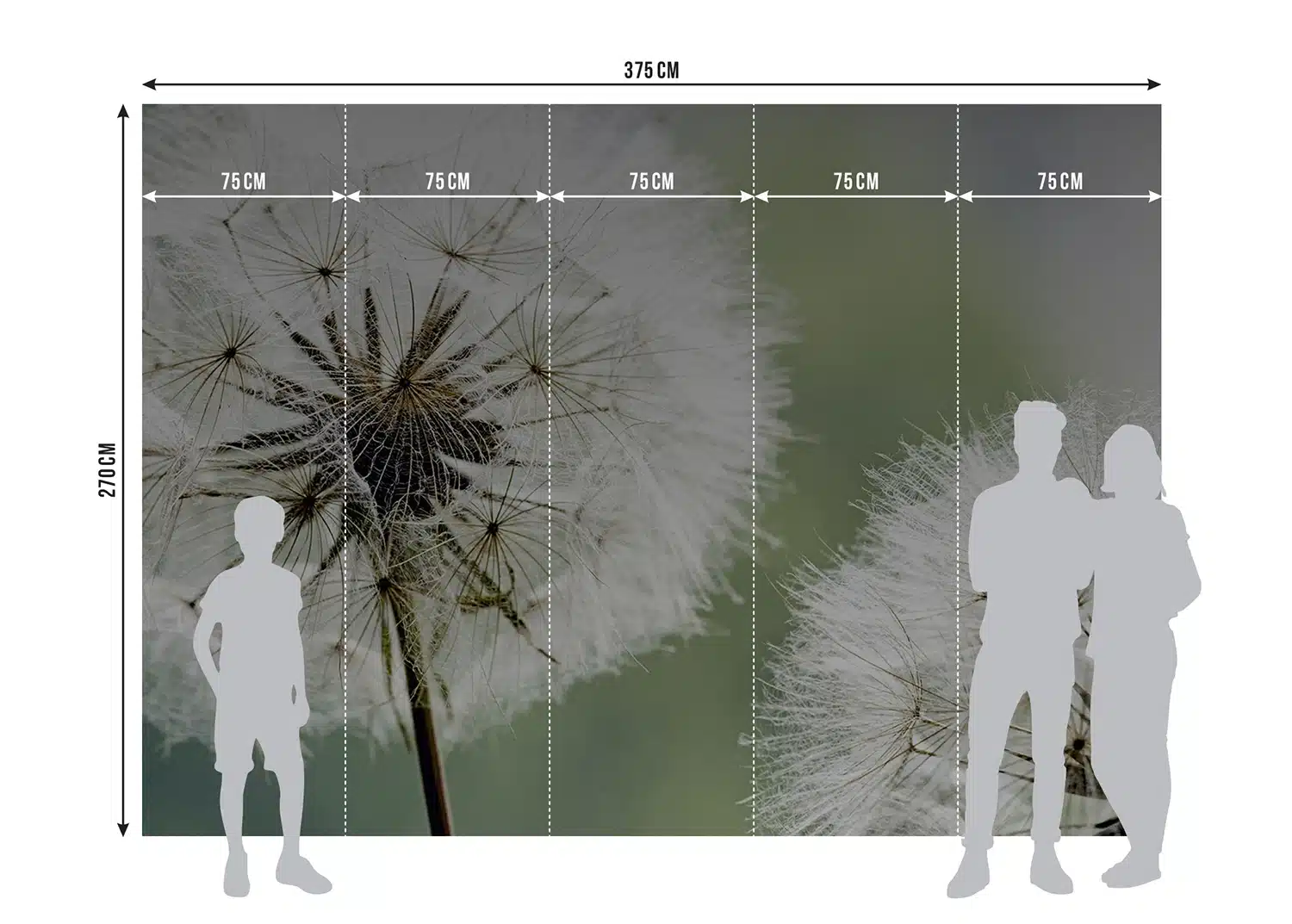 Custom Size Wall Mural Dandelion | Premium Non-Woven Wallpaper | FTNXXL0477 8