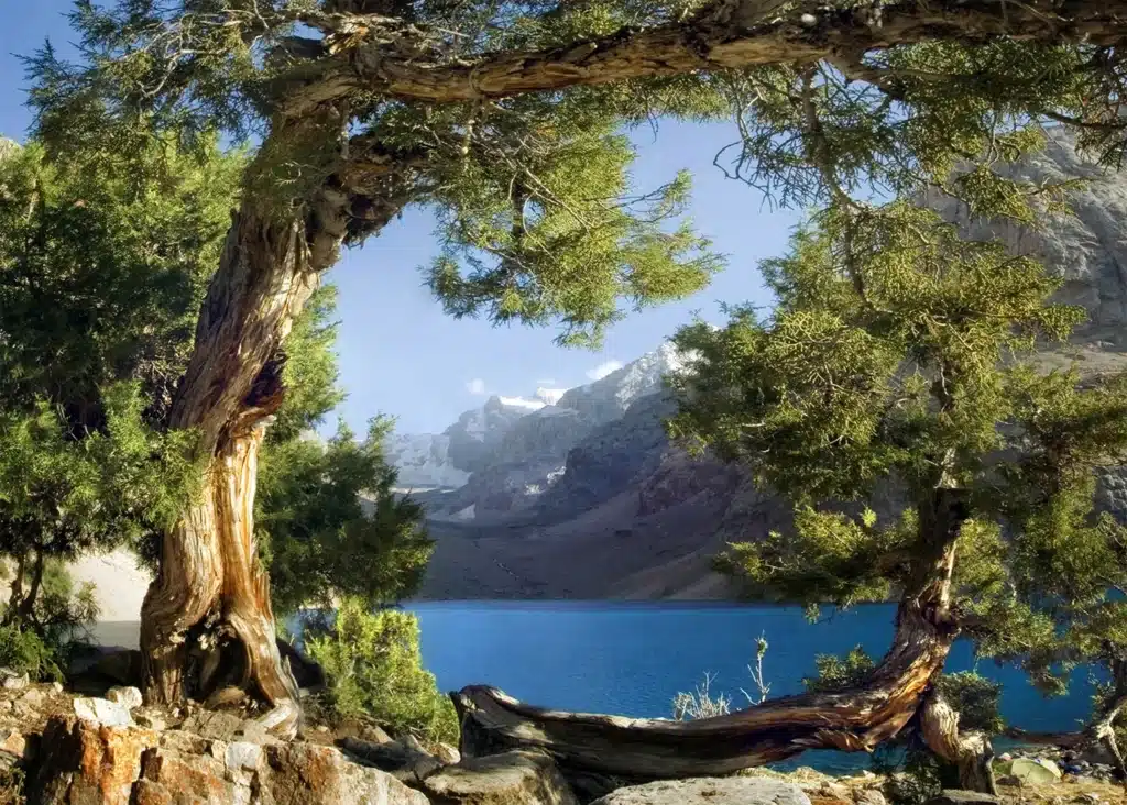 Custom Size Wall Mural Lake View | Premium Non-Woven Wallpaper | FTNXXL1113 1