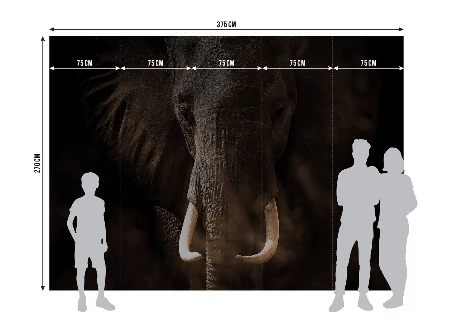 Custom Size Wall Mural Elephant | Premium Non-Woven Wallpaper | FTNXXL3016 5