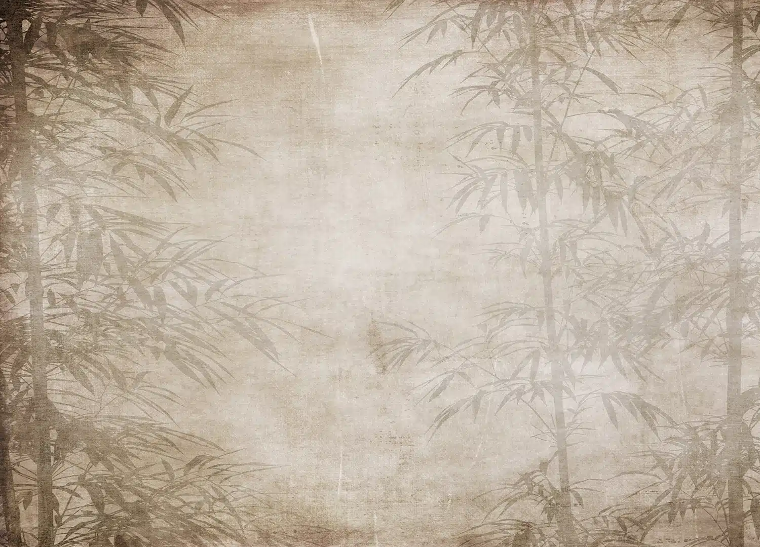 Custom Size Wall Mural Bamboo Forest | Premium Non-Woven Wallpaper | FT5P3069