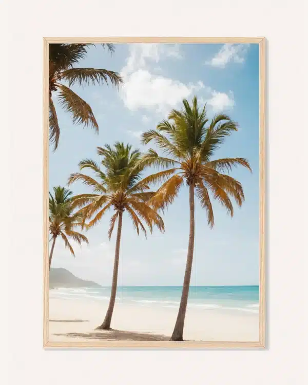 Poster Palms, 30 x 42 cm, P 351377