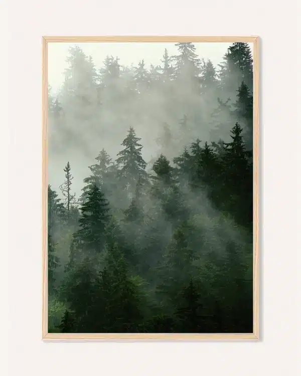 Poster Nature, 30 x 42 cm, P 351465