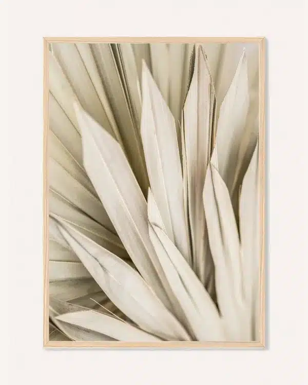 Poster Botanics, 30 x 42 cm, P 351485