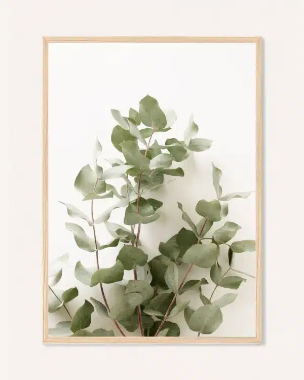 Poster Botanics, 30 x 42 cm, P 351489